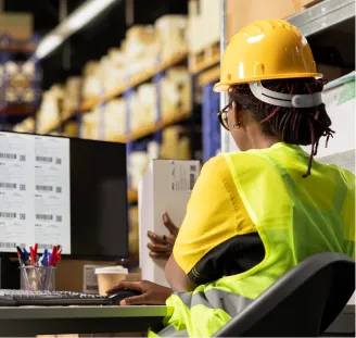 Supply Chain & Logistics