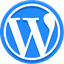 WordPress Development Company 