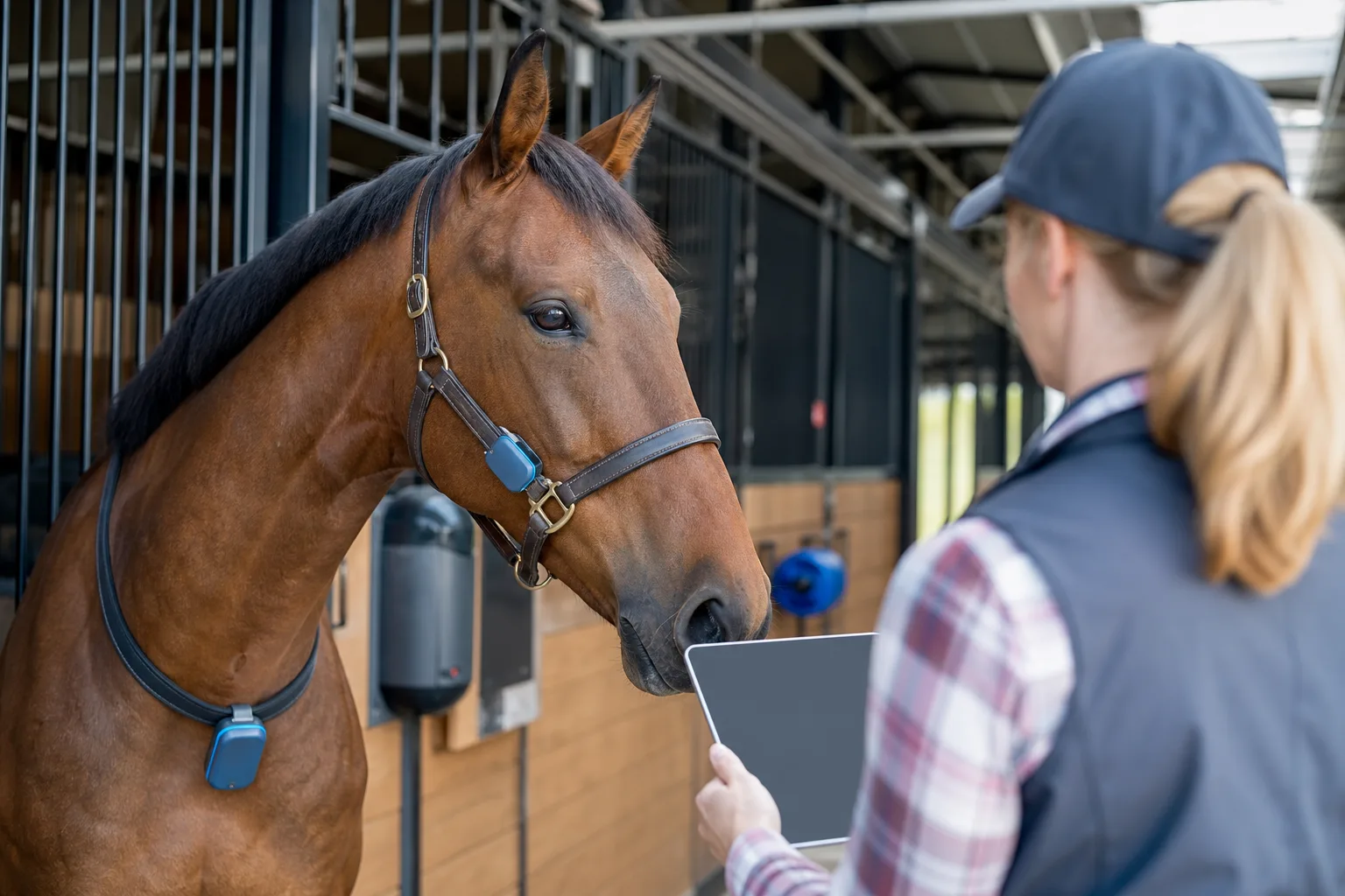 AI Powered Equine App Development