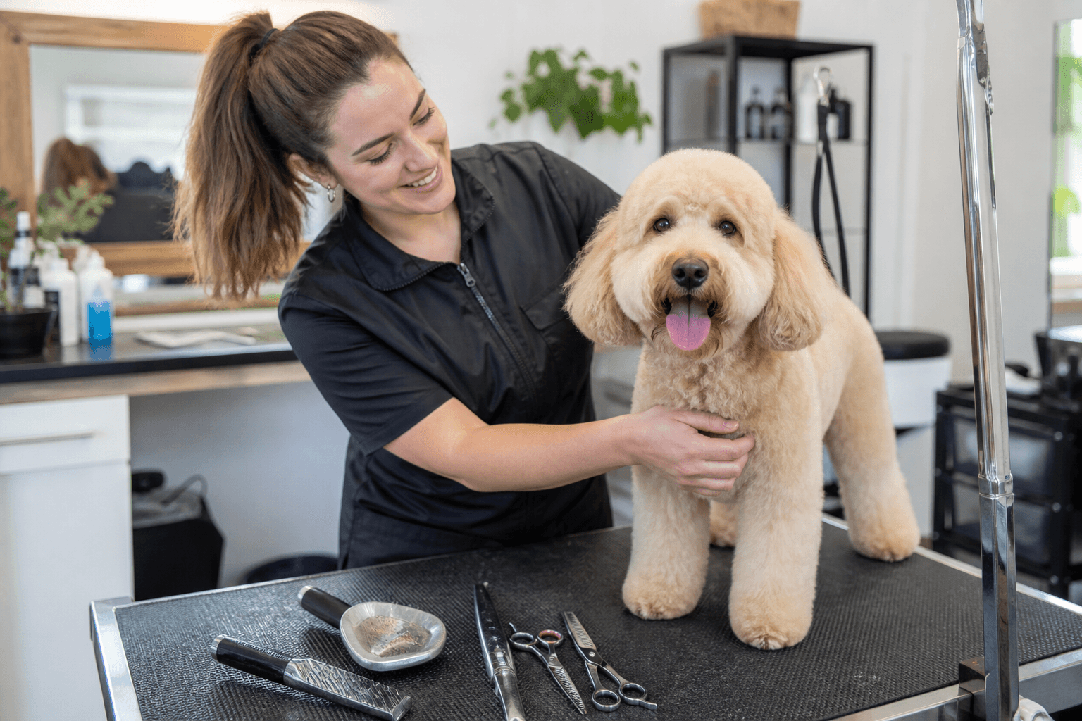 Pet Grooming And Boarding App Development