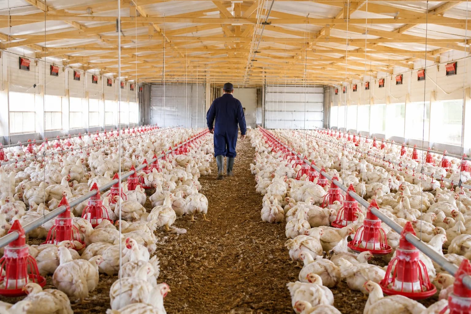 Broiler Farm Management Platform
