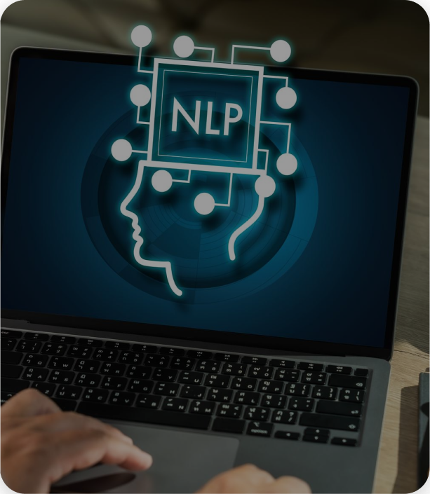 Natural Language Processing (NLP)