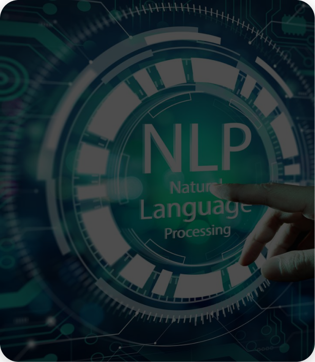 Natural Language Processing (NLP)