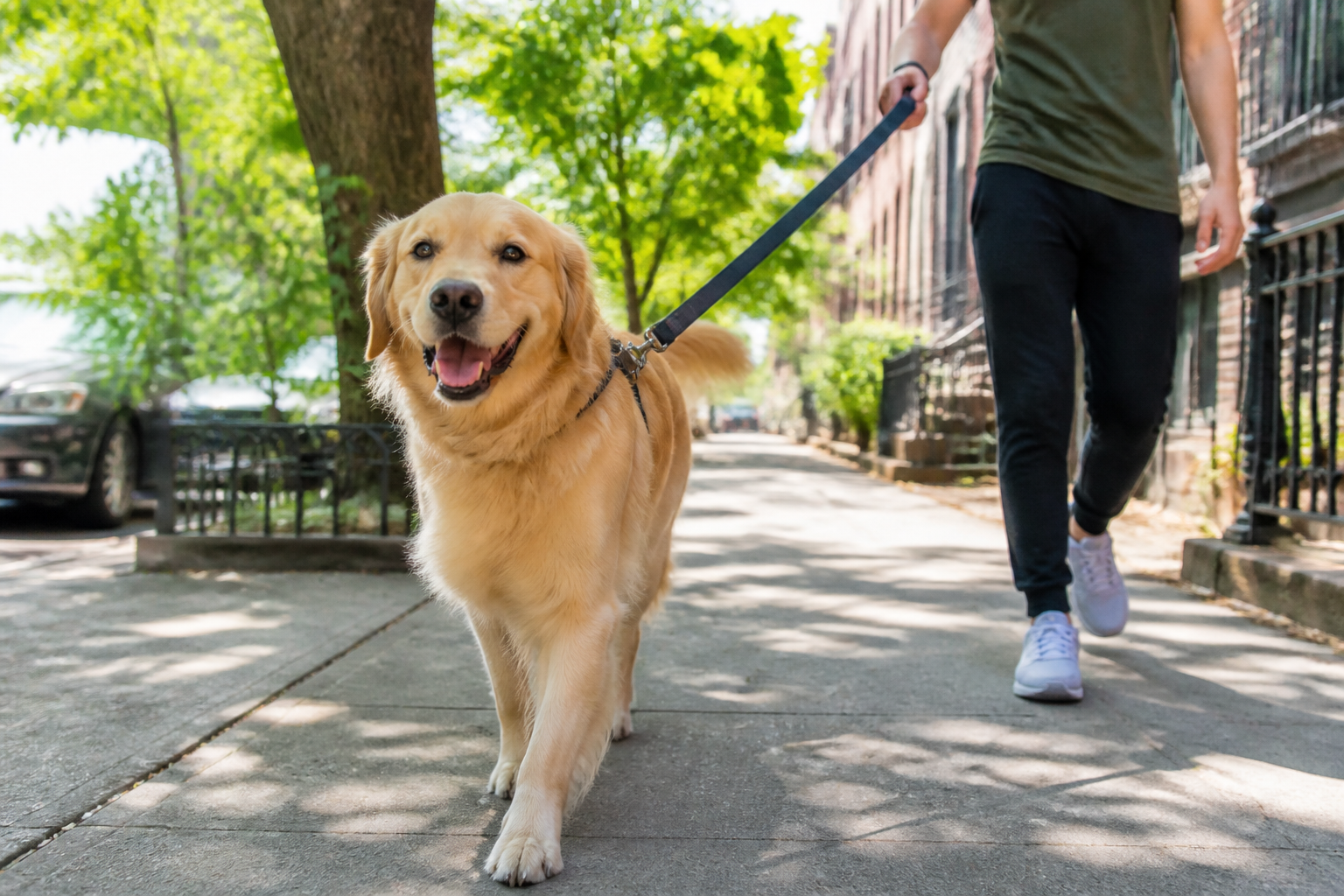 Apps Like Wag inspired pet care app preview